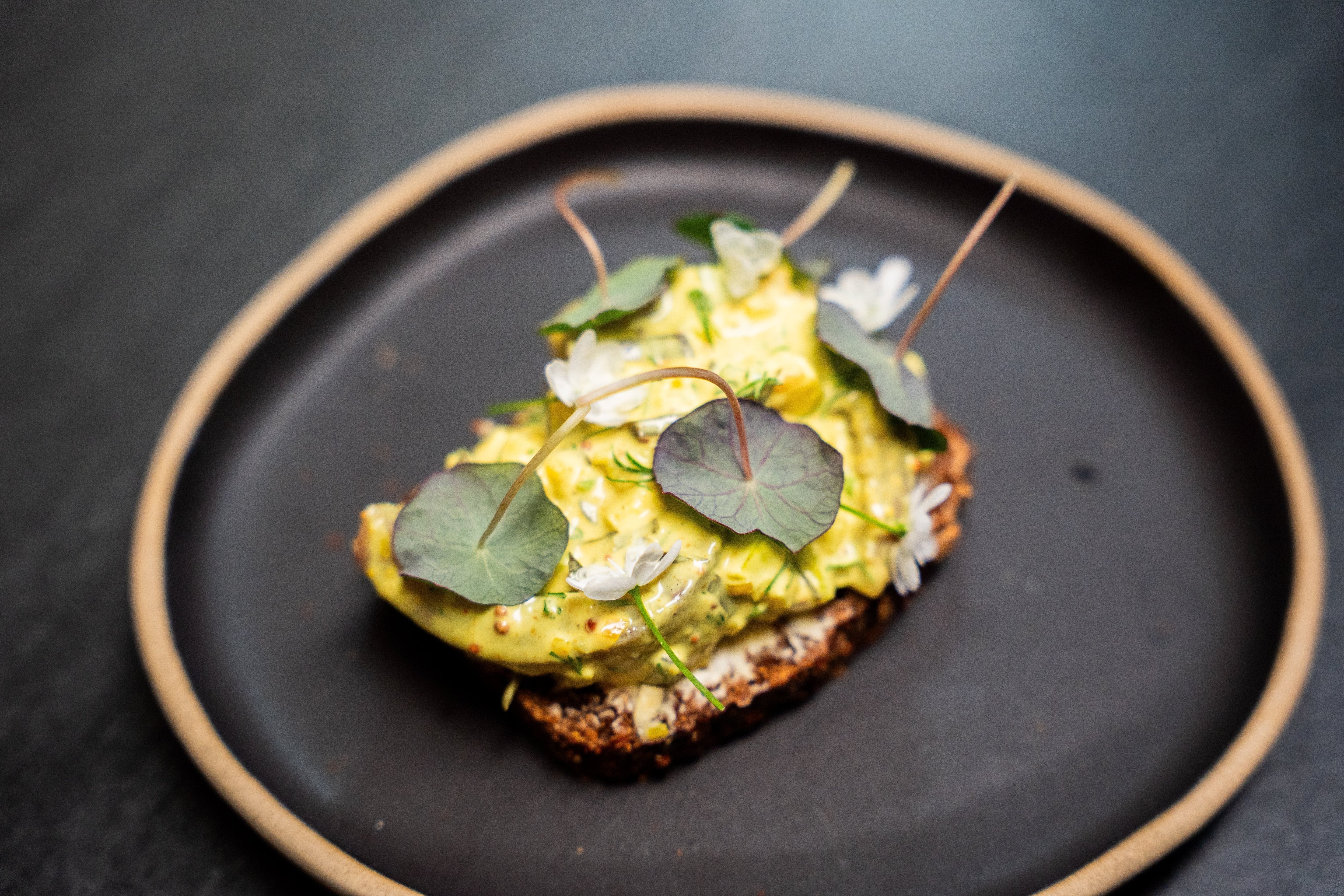 Danish Curry Herring